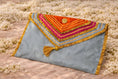 Load image into Gallery viewer, Rang Mahal Saree Bag
